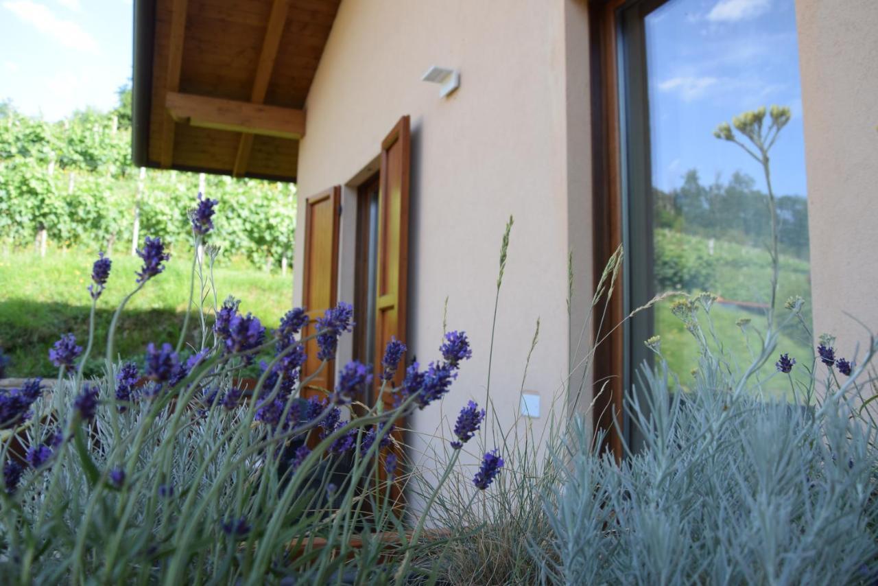 Al-Colle Bed & Breakfast Sotto il Monte Bagian luar foto