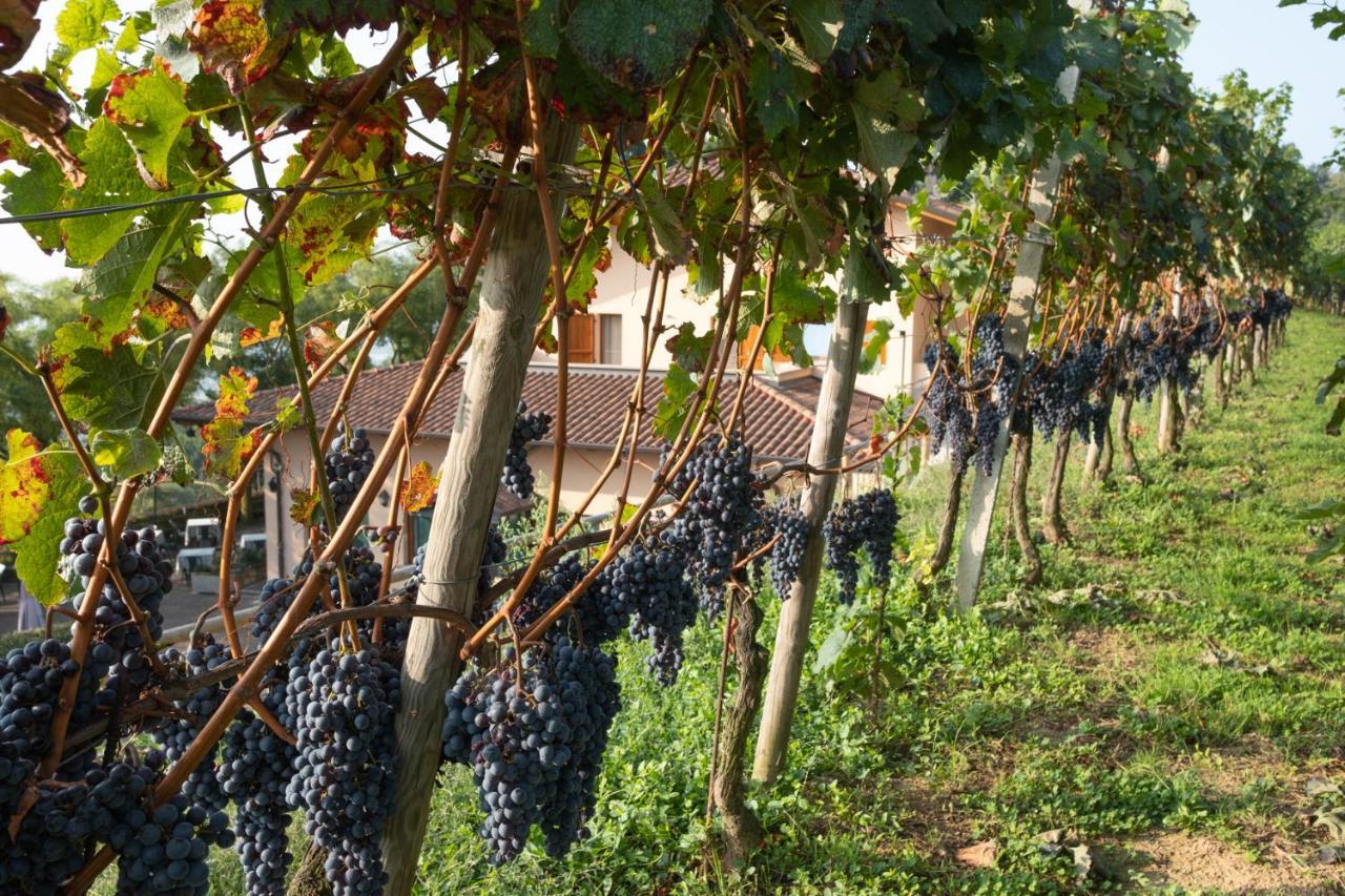 Al-Colle Bed & Breakfast Sotto il Monte Bagian luar foto