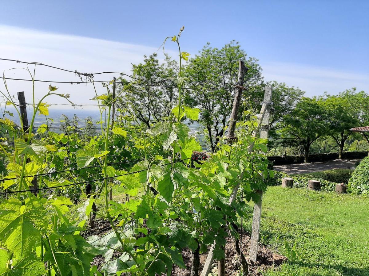 Al-Colle Bed & Breakfast Sotto il Monte Bagian luar foto